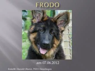 frodo