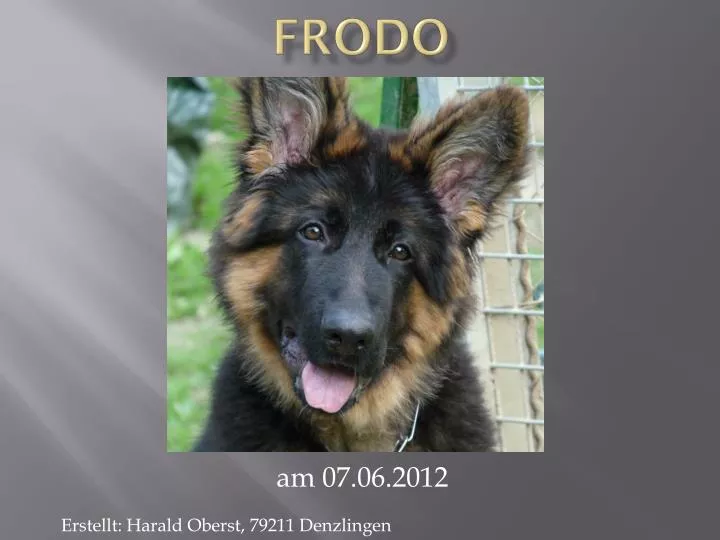 frodo