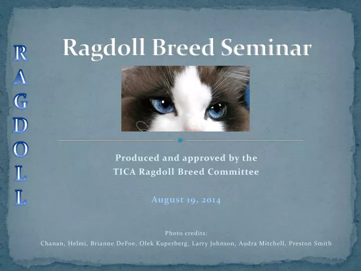 ragdoll breed seminar