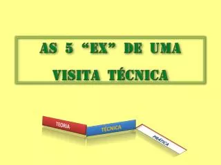 as 5 ex de uma visita t cnica
