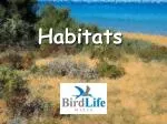Exploring Malta's Diverse Habitats and Wildlife - slide 1