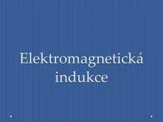 elektromagnetick indukce