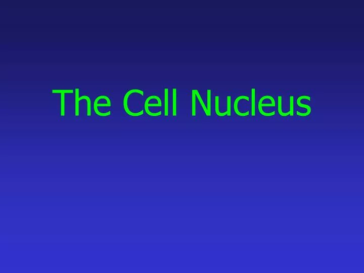 the cell nucleus