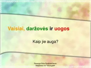 vaisiai dar ov s ir uogos
