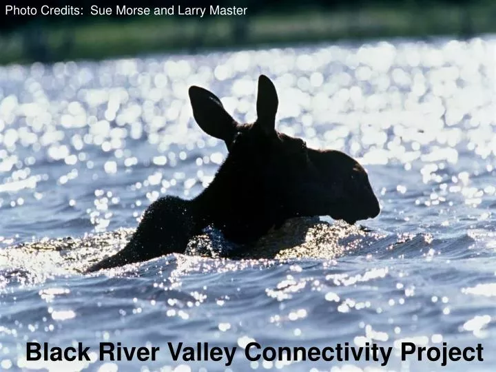 black river valley connectivity