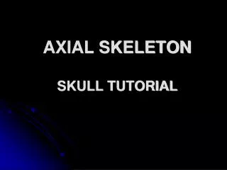 AXIAL SKELETON SKULL TUTORIAL