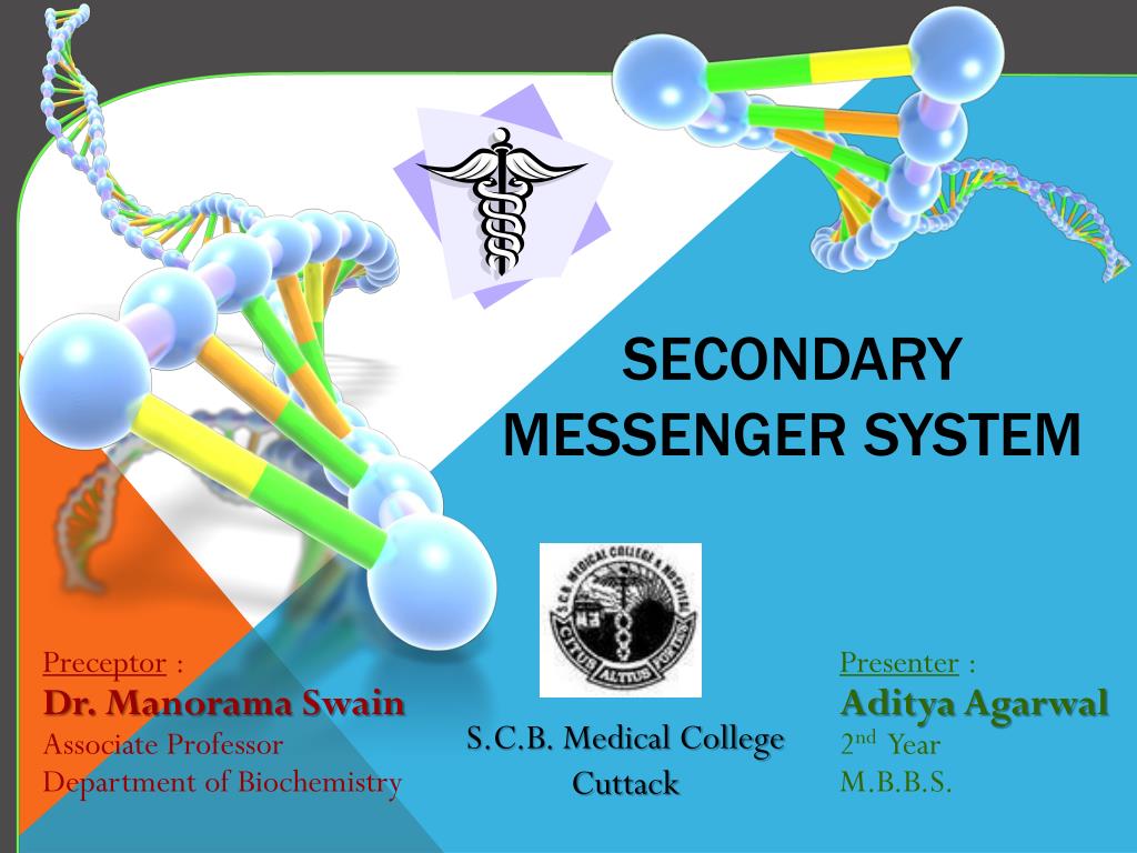 PPT - Secondary Messenger System PowerPoint Presentation, free download ...