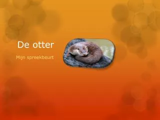 de otter