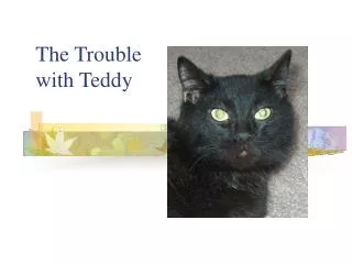 The Trouble with Teddy
