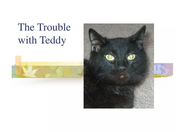 the trouble with teddy