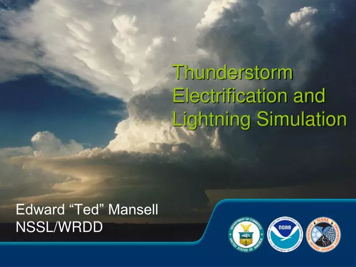thunderstorm electrification and lightning simulation