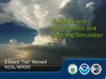 Thunderstorm Electrification and Lightning Simulation - slide 1