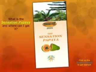 What is the Sensation Papaya and where can I get it?