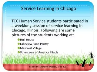 Service Learning in Chicago
