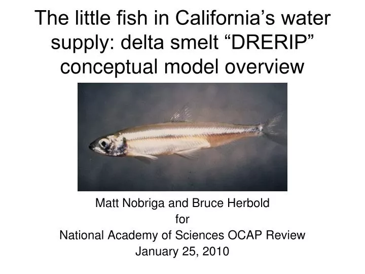 the little fish in california s water supply delta smelt drerip conceptual model overview