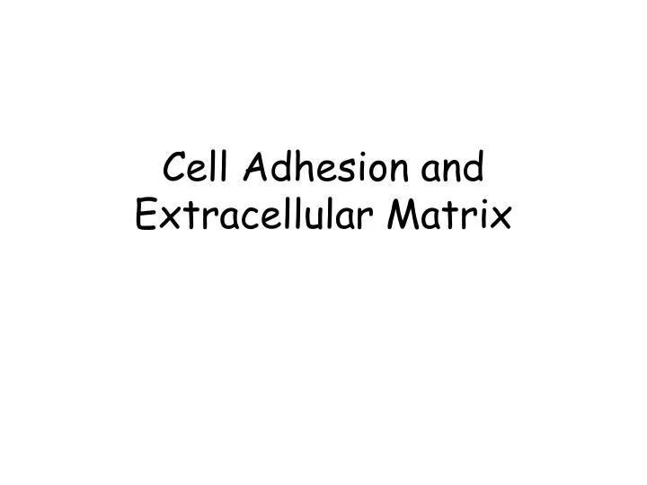 cell adhesion and extracellular matrix