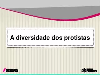 a diversidade dos protistas