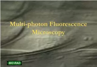 Multi-photon Fluorescence Microscopy