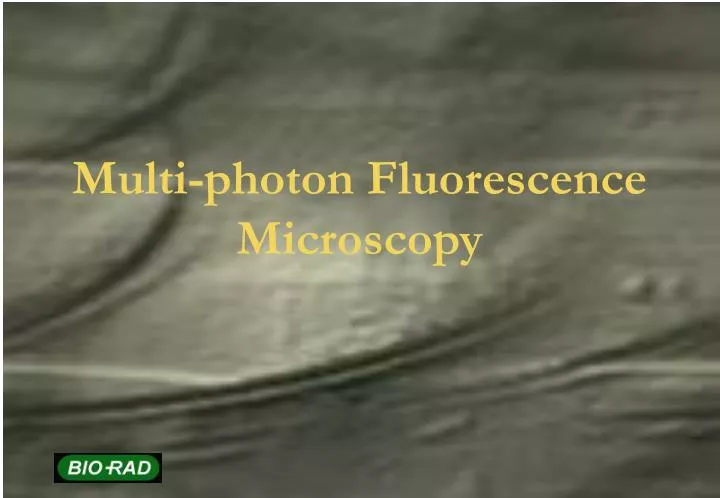 multi photon fluorescence microscopy