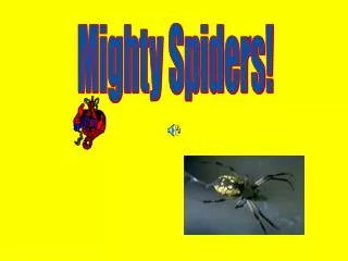 Mighty Spiders!