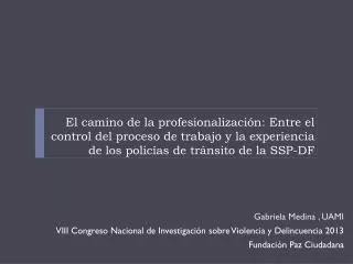Gabriela Medina , UAMI VIII Congreso Nacional de Investigación sobre Violencia y Delincuencia 2013
