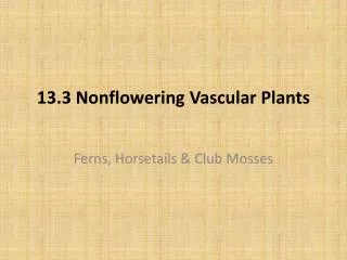 13.3 Nonflowering Vascular Plants