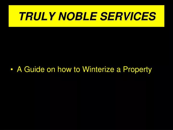 truly noble services