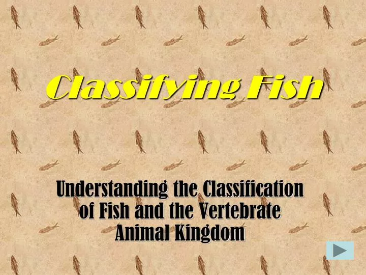 classifying fish