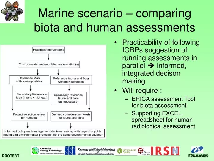 marine scenario comparing biota and human assessments