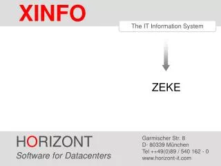 The IT Information System