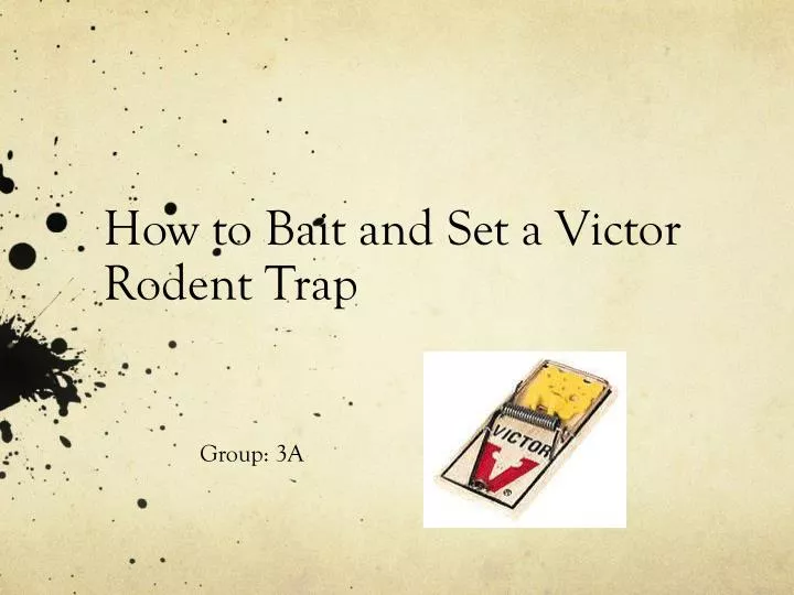 how to bait and set a victor rodent trap