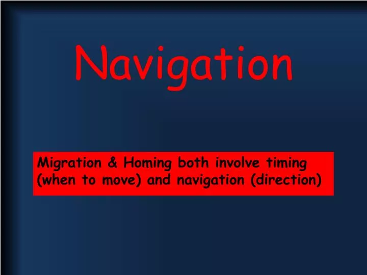 navigation