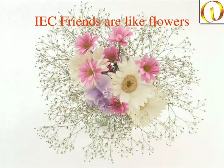 iec friends are like flowers