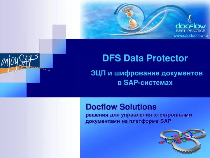 dfs data protector sap