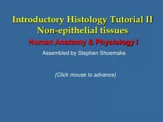 Introductory Histology Tutorial II Non-epithelial tissues