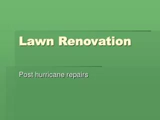 Lawn Renovation