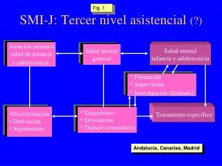 smi j tercer nivel asistencial