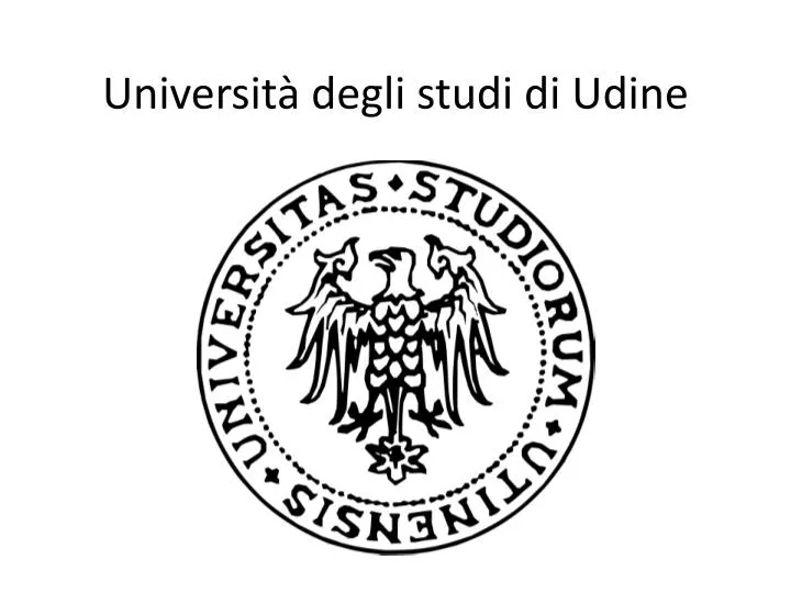 universit degli studi di udine