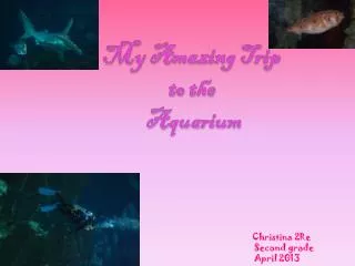 My Amazing Trip to the Aquarium