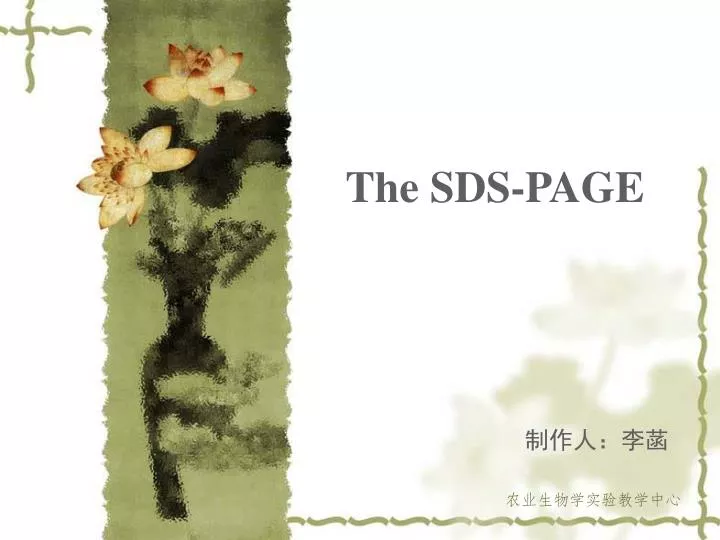 the sds page