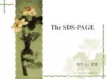 The SDS-PAGE - slide 1