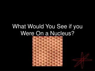 What Would You See if you Were On a Nucleus?