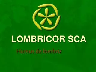 lombricor sca