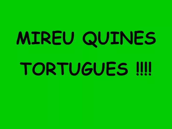 mireu quines tortugues