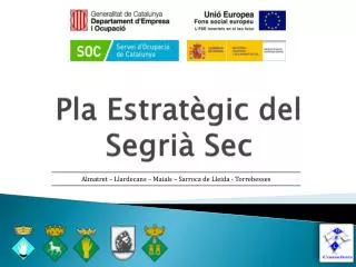 pla estrat gic del segri sec