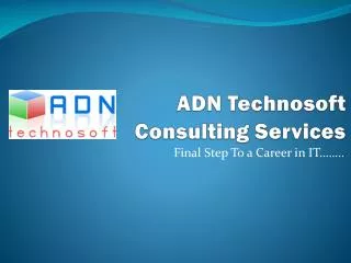 ADN Technosoft Consulting Services