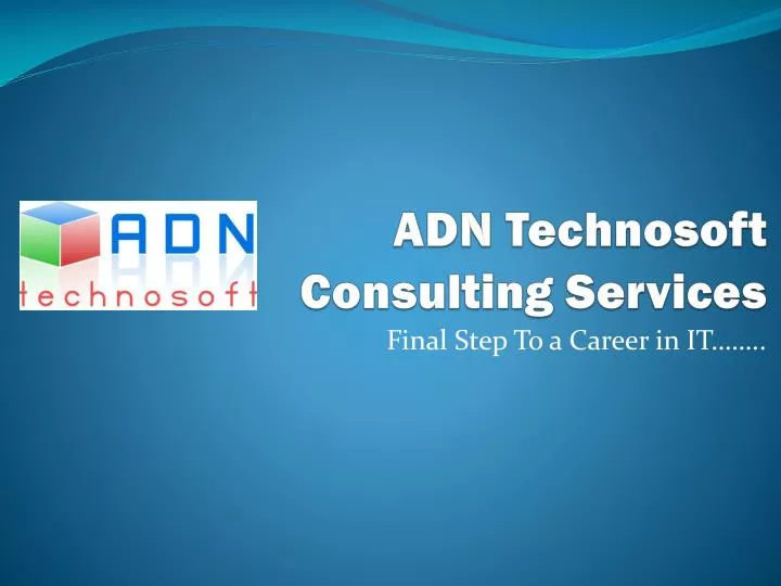 adn technosoft consulting services