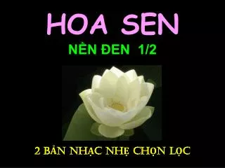 hoa sen n n en 1 2