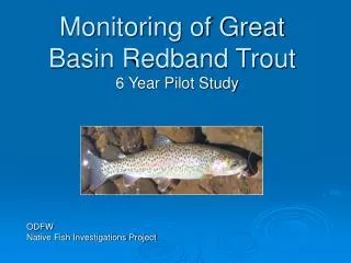 Monitoring of Great Basin Redband Trout