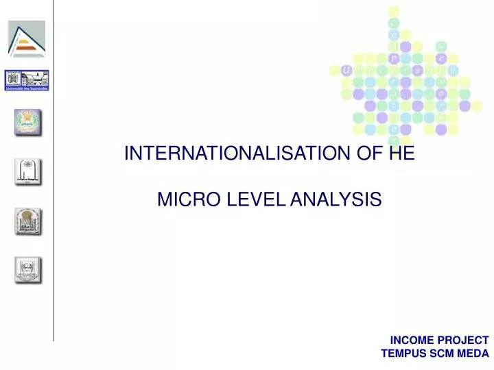 internationalisation of he micro level analysis
